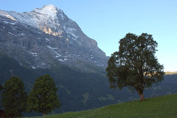 stock image View to Swiss mountains in Grindelwald