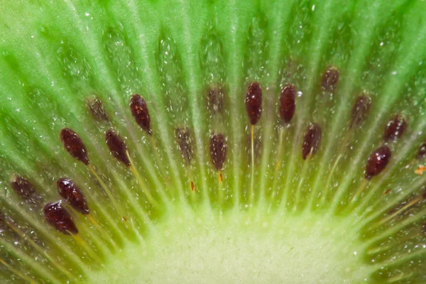 Grön Kiwi Vit Isolerade Bakgrund — Stockfoto