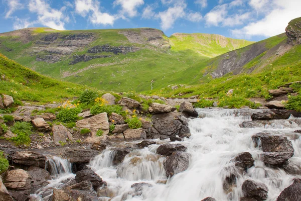Wasserfall Den Grünen Alpen Der Nähe Von Grindelwald — Stockfoto