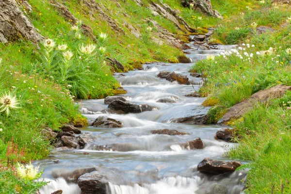 Kleine Wasserfallkaskade Den Grünen Alpen Der Nähe Von Grindelwald — Stockfoto