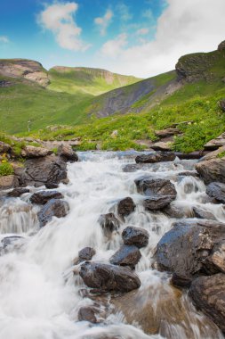 grindelwald yakınındaki yeşil Alp dağlarında şelale