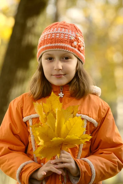 Menina com folhas de bordo amarelas — Fotografia de Stock