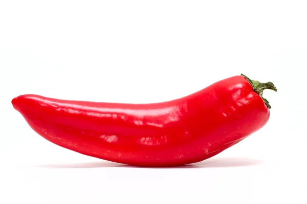 stock image Red pepper on a white background close-up