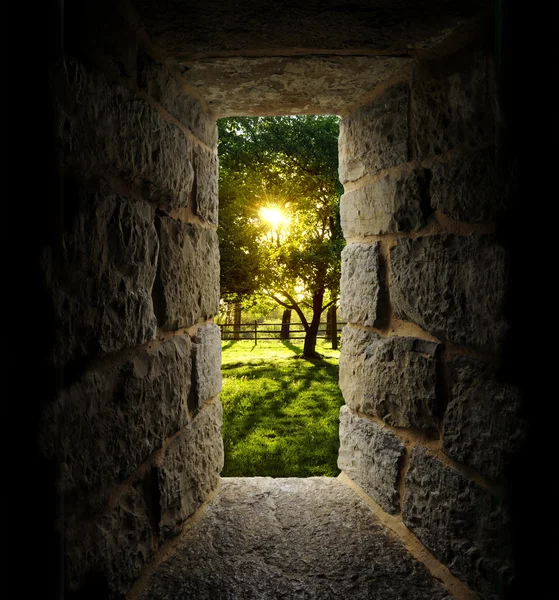 Sunrise through trees as viewed out of a castle-like stone windo — Stock Photo, Image