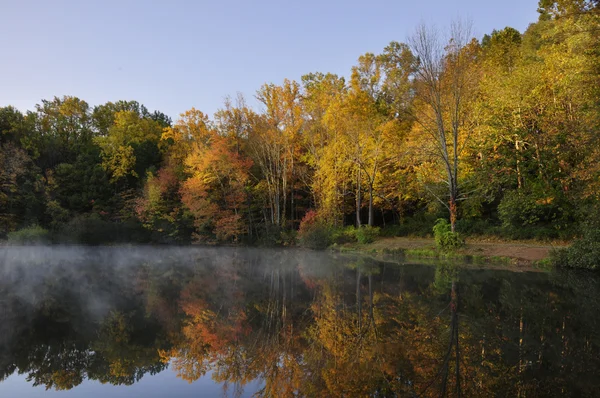 Mattina nebbia sul lago con alberi girando colori autunnali — Foto Stock
