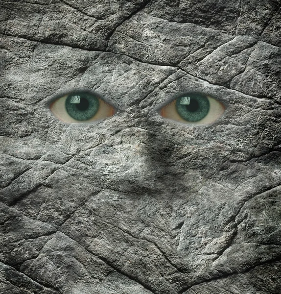Der steinerne Blick einer Felswand — Stockfoto