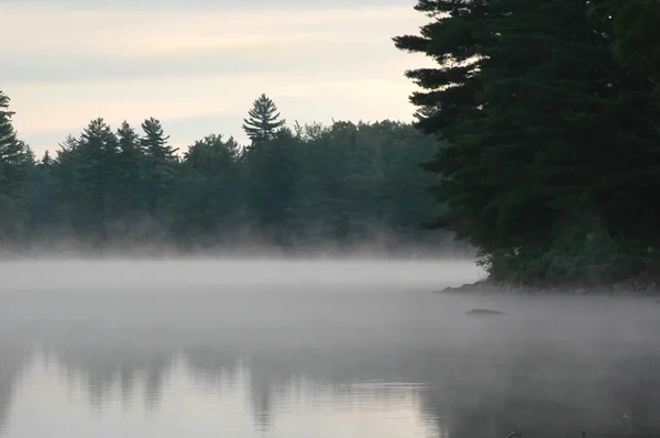 Nebel steigt aus einem See in der morgendlichen Wildnis auf — Stockfoto