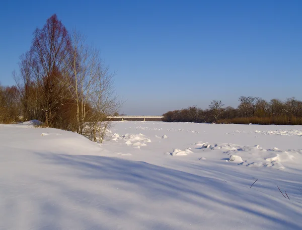 Zimní den na břehu řeky — Stock fotografie