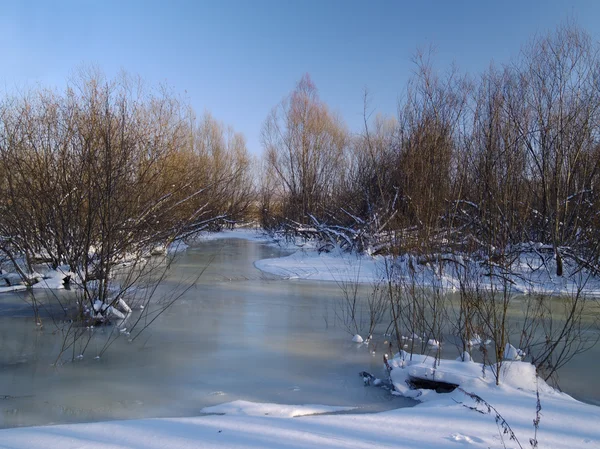 The frozen stream — Stock Photo, Image