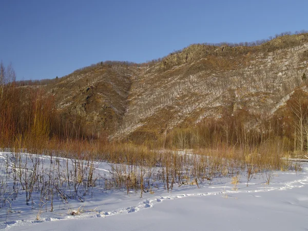 Serata invernale su un pendio di montagna — Foto Stock