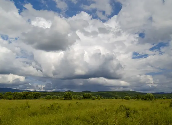 stock image Summer landscape - a meadow under the cloudy sky