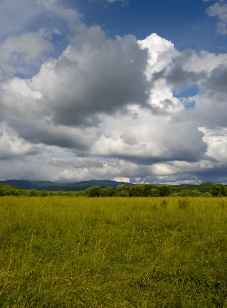 Yatay yaz yeşil çayır ve bulutlu gökyüzü — Stok fotoğraf