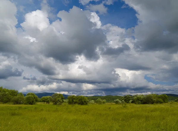 Летний пейзаж с зеленым лугом и облачным небом — стоковое фото
