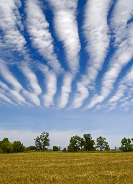 Полосатые облака над очищенным пшеничным полем — стоковое фото