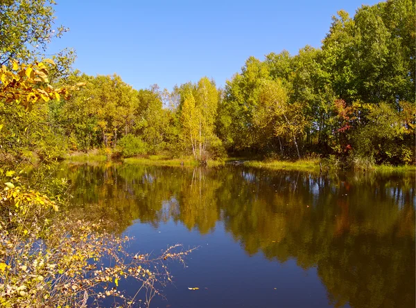 Día de otoño en el lago de madera — Foto de Stock