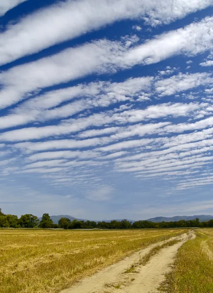 Gestreepte wolken boven de schoongemaakte wheaten veld — Stok fotoğraf