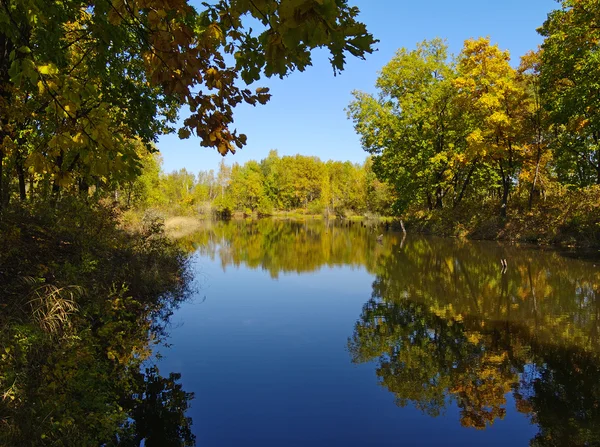 Jour d'automne au lac en bois — Photo