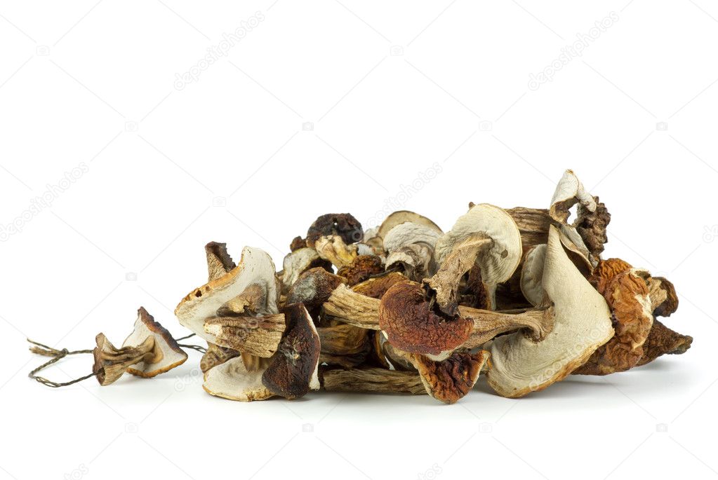 Dried cepe mushrooms on the rope
