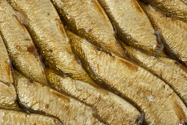 stock image Conserved sprat fish in oil