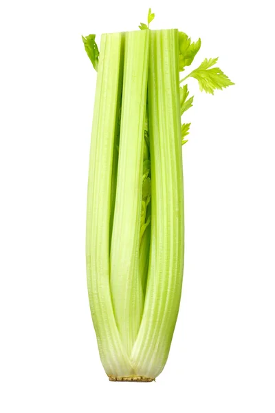 Bunch of celery sticks — Stock Photo, Image