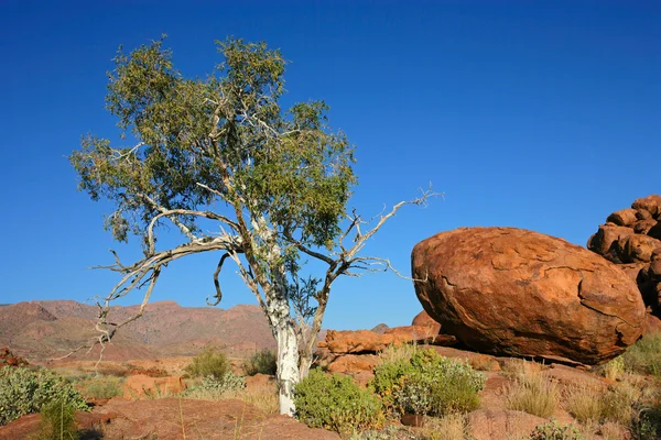 Pedras de árvores e granito — Fotografia de Stock