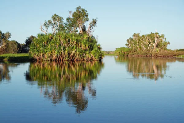 Árvores Com Reflexos Billabong Água Amarela Parque Nacional Kakadu Território — Fotografia de Stock