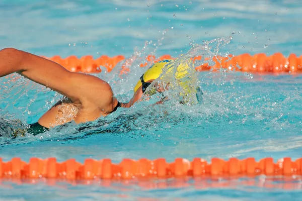 Gala swimmer — Stock Photo, Image