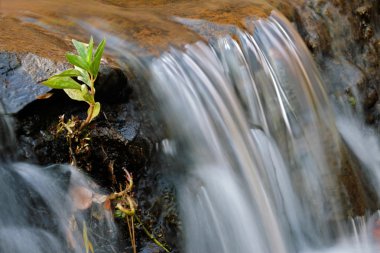 Flowing water taken with a slow shutter speed in a river stream clipart