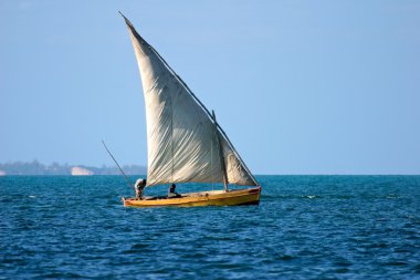 geleneksel yelkende denilen dhow, vilanculos kıyı sanctuary, Mozambik, Güney Afrika