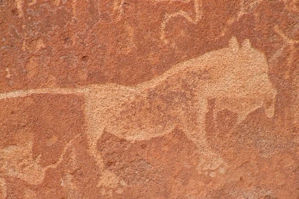 Gravura Rocha Leão Africano Sítio Arqueológico Twyfelfontein Namíbia África Austral — Fotografia de Stock
