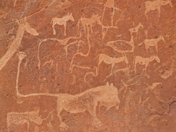 Gravures Sur Roche Sujets Faune Africaine Site Archéologique Twyfelfontein Namibie — Photo