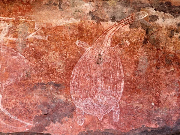 Arte Rupestre Aborigen Que Representa Una Tortuga Ubirr Parque Nacional — Foto de Stock