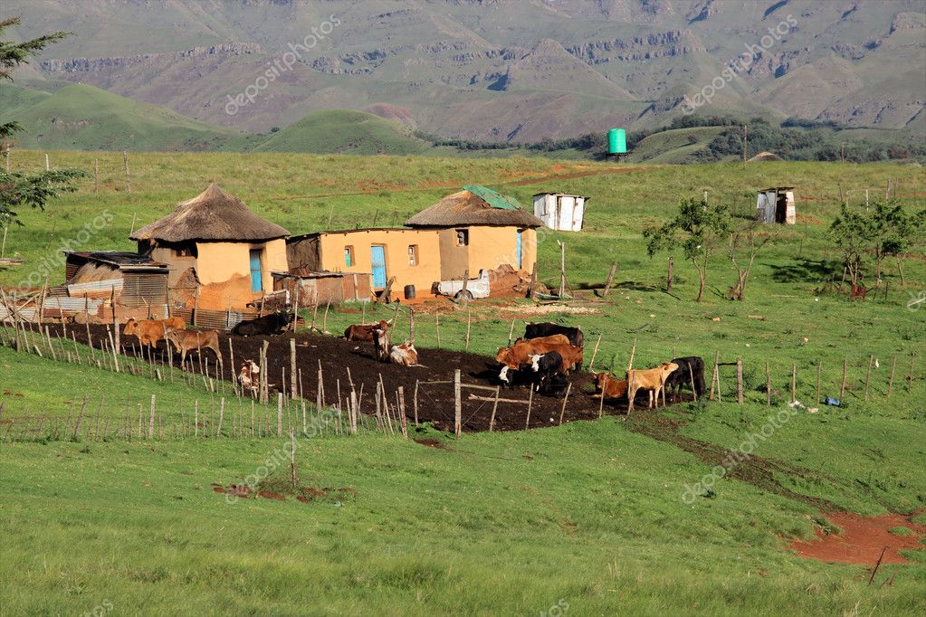 Rural huts and cattle — Stock Photo © EcoPic #5113524