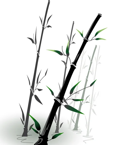 Vektorové bambus — Stockový vektor