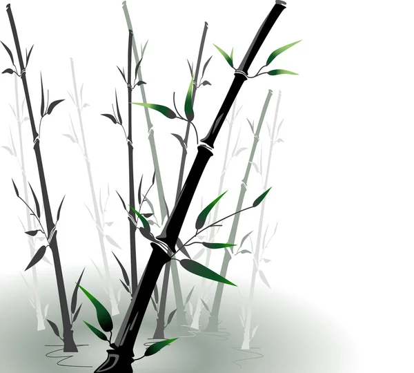 Vektor bambu i en pool — Stock vektor