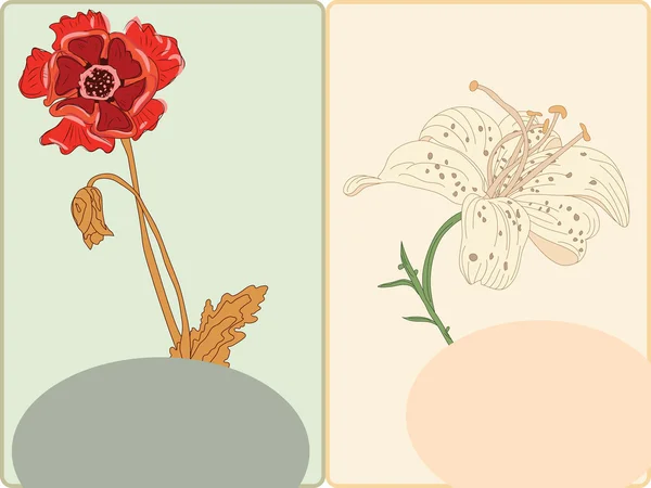 ポピーの花とユリのベクトル ポストカード — ストックベクタ