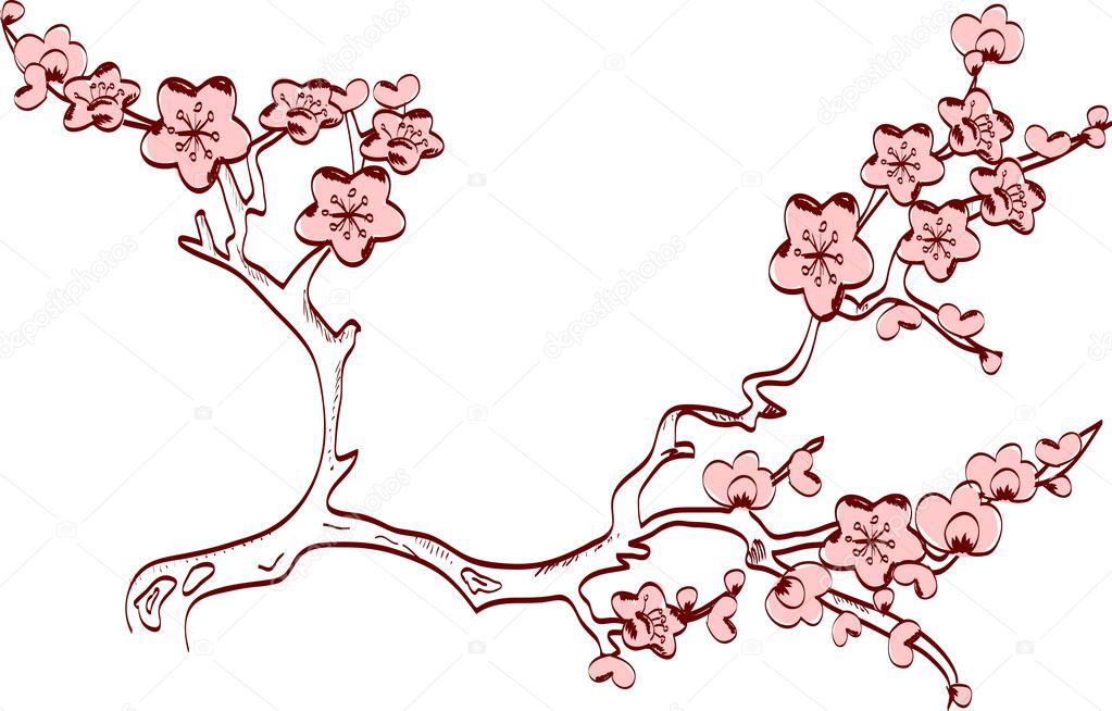 vector cherry blossom spring branch. japanese style