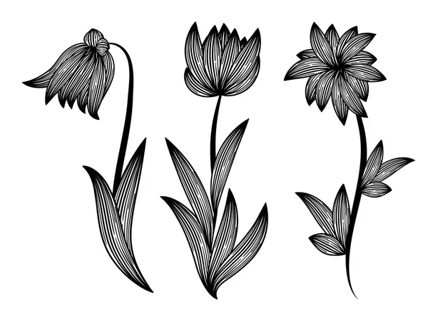 Floral designelementen, zwart-wit — Stockvector