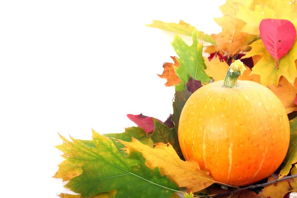 stock image Pumpkin with autumn leaves