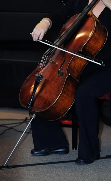 Klasik müzik bas enstrüman çalar — Stok fotoğraf