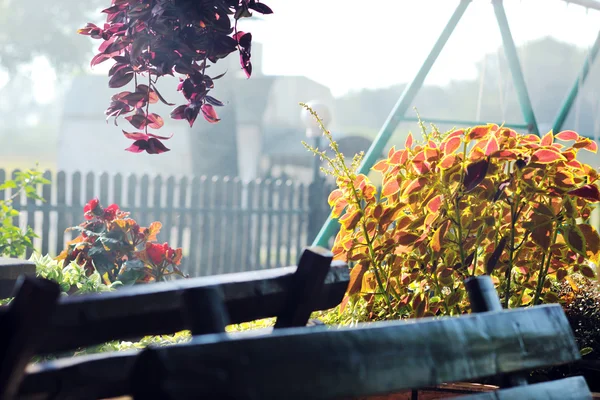Барвистий балкон з квітами — стокове фото
