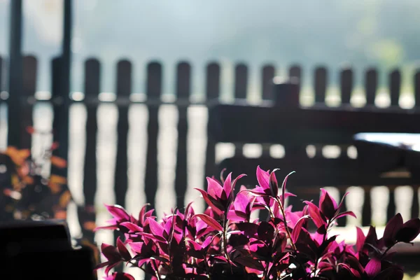 Красочный балкон с цветами — стоковое фото