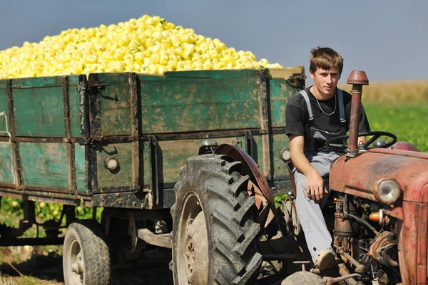 Ouvrier agricole avec légumes frais — Photo