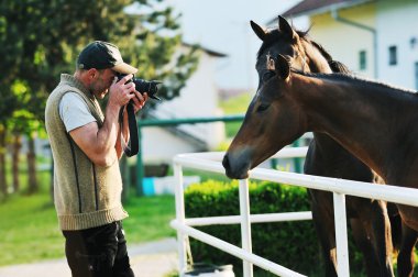 fotoğrafçı ve at