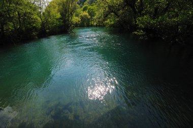 vahşi nehir şelale