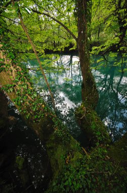 vahşi nehir şelale