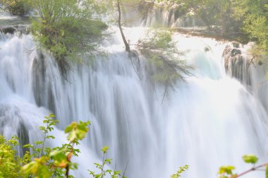 vahşi nehir şelale