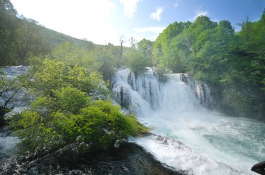 vahşi nehir şelale