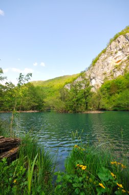 vahşi nehir şelale