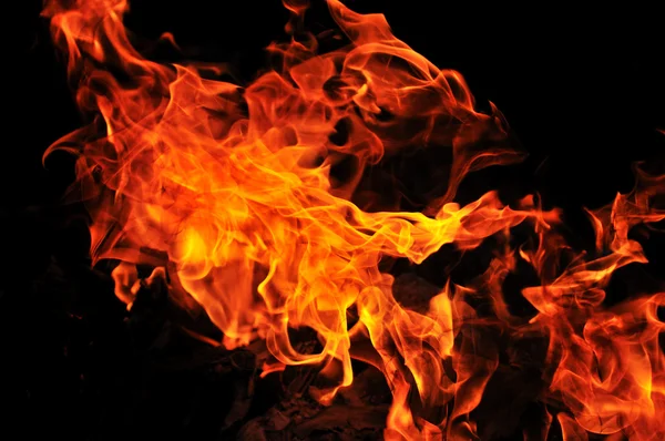 Divoký oheň — Stock fotografie